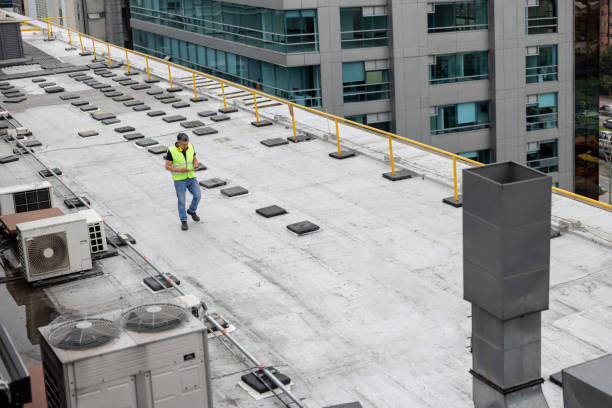 Best Sheet Metal Roofing  in Raleigh, NC