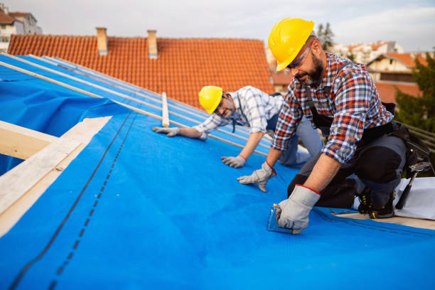Best Chimney Flashing Repair  in Raleigh, NC
