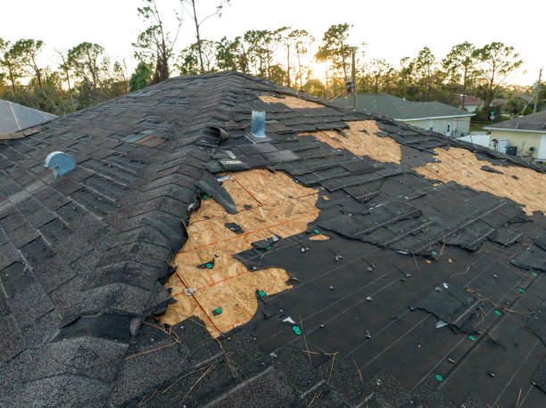  Raleigh, NC Roofing Service Pros