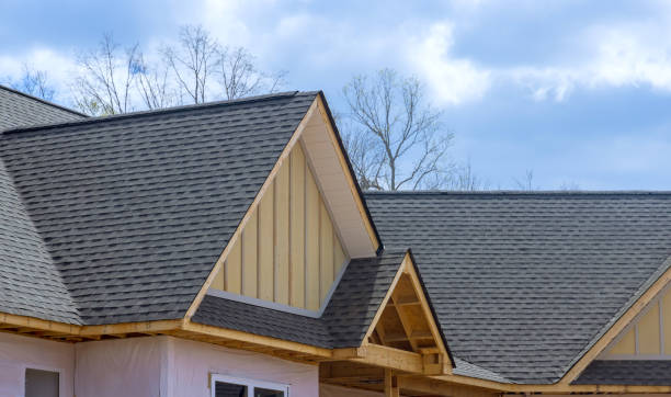 Best Roof Maintenance and Cleaning  in Raleigh, NC