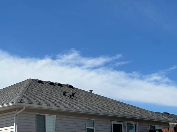 Best Asphalt Shingle Roofing  in Raleigh, NC